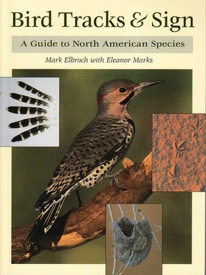 cover image of Bird Tracks & Sign
